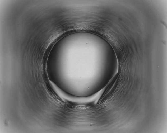 X0000098030488200804071420