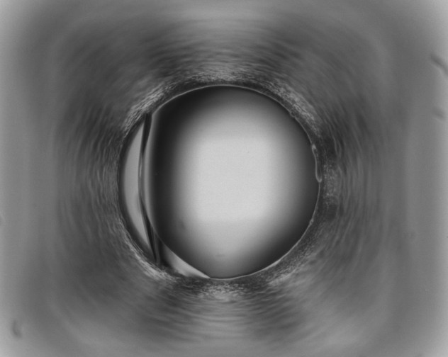 X0000098030489200804071420