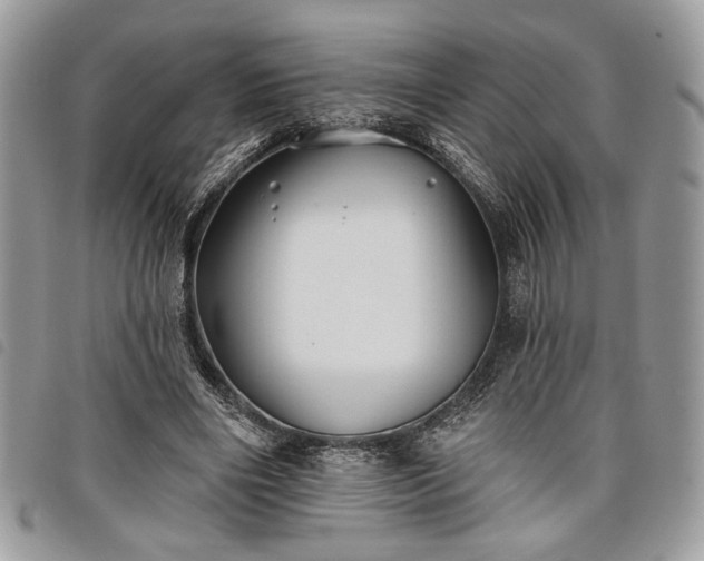 X0000098030490200804071420