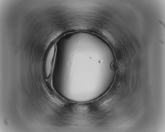 X0000098030491200804071420