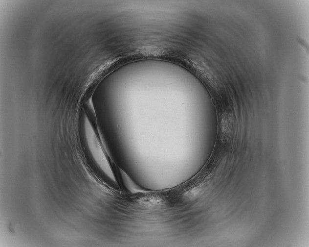 X0000098030492200804071420