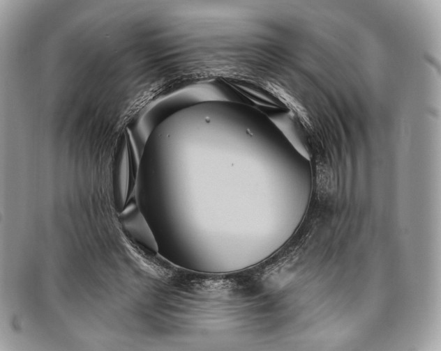 X0000098030493200804071420