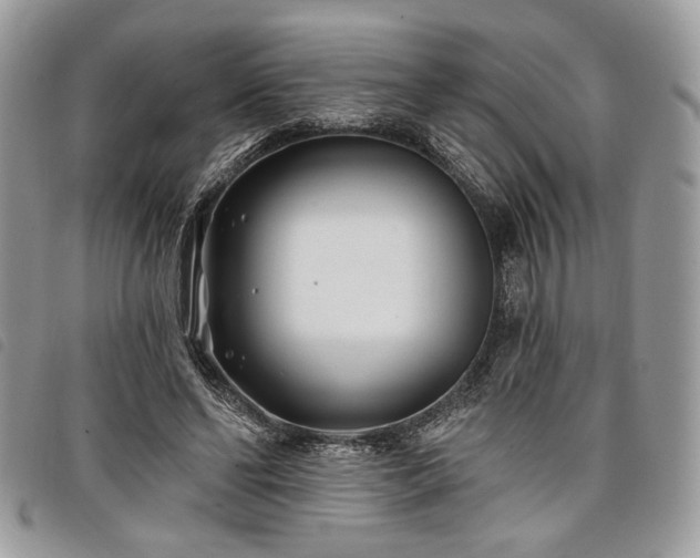 X0000098030494200804071420