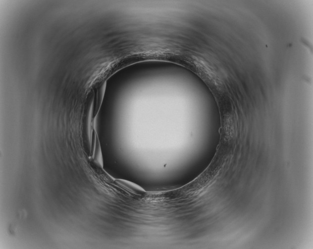 X0000098030495200804071420