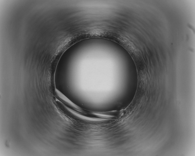 X0000098030496200804071420