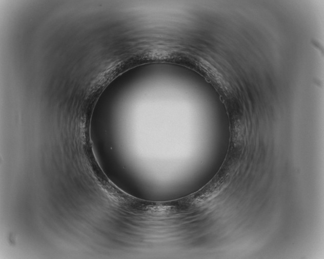 X0000098030497200804071420