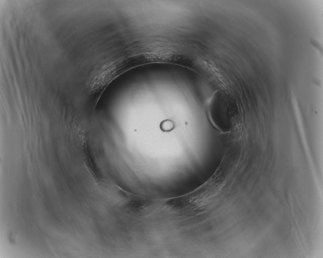 X0000098030498200804071420