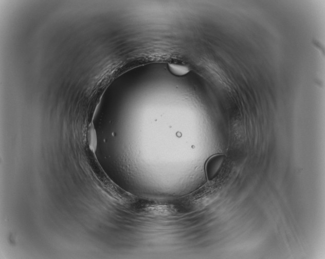 X0000098030499200804071420