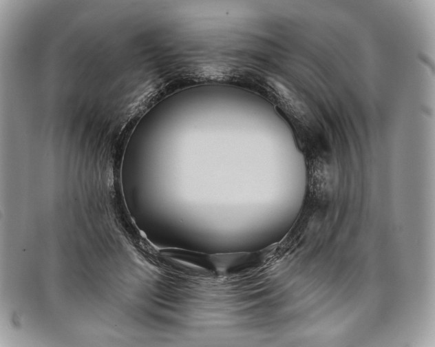 X0000098030500200804071420