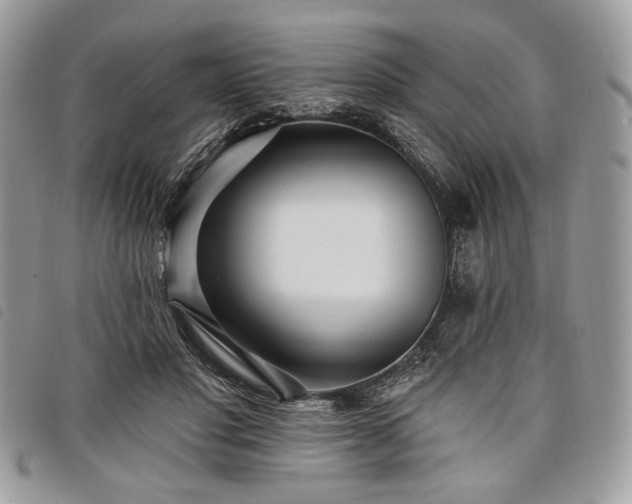 X0000098030501200804071419