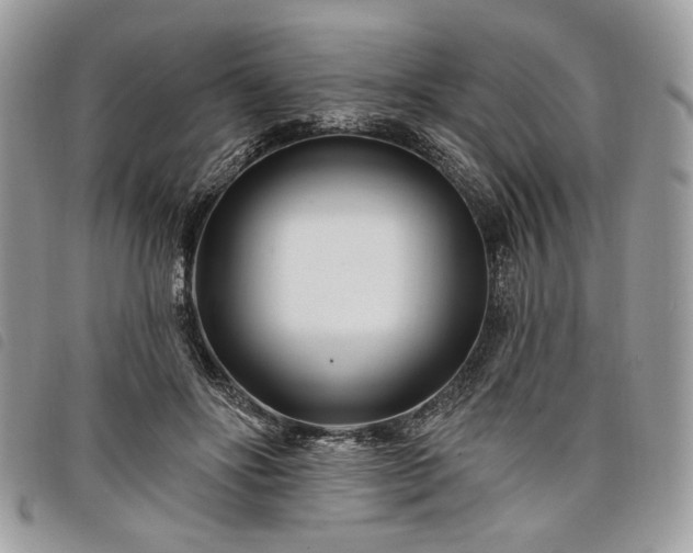 X0000098030502200804071419