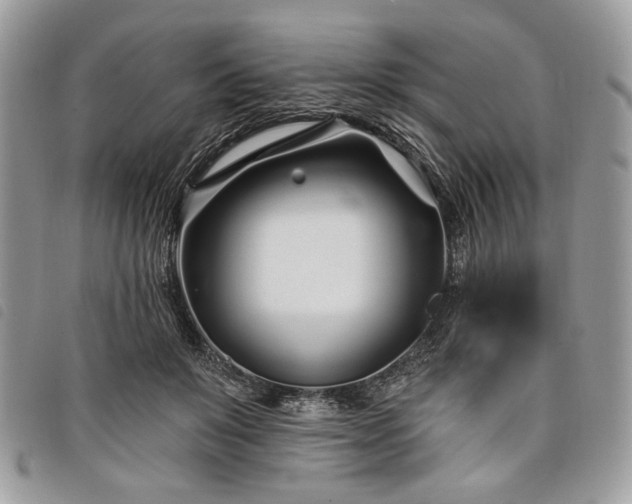 X0000098030503200804071419