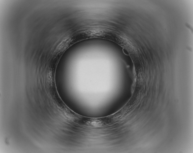 X0000098030506200804071419