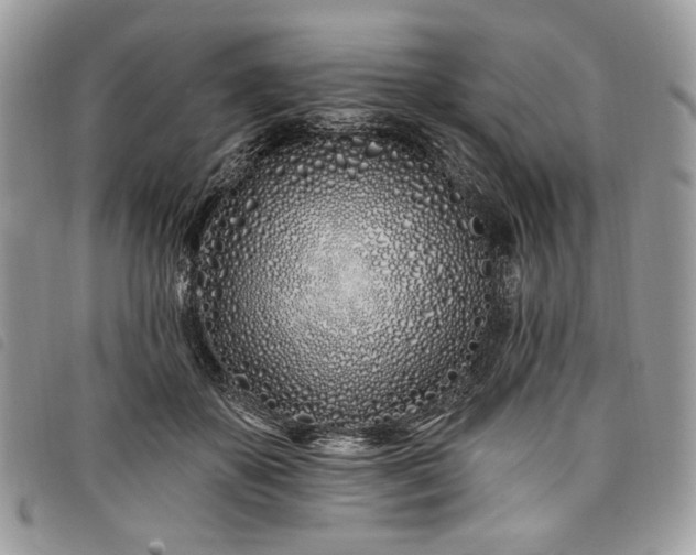 X0000098030507200804071419