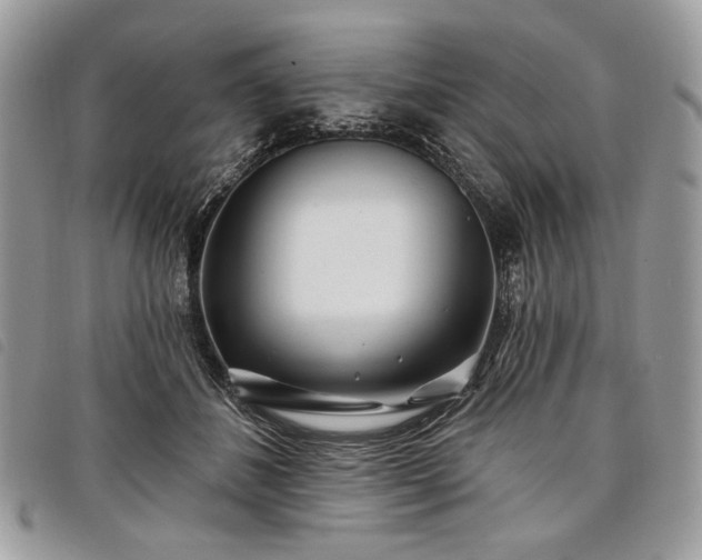 X0000098030508200804071419