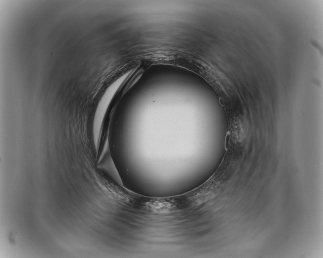 X0000098030512200804071419