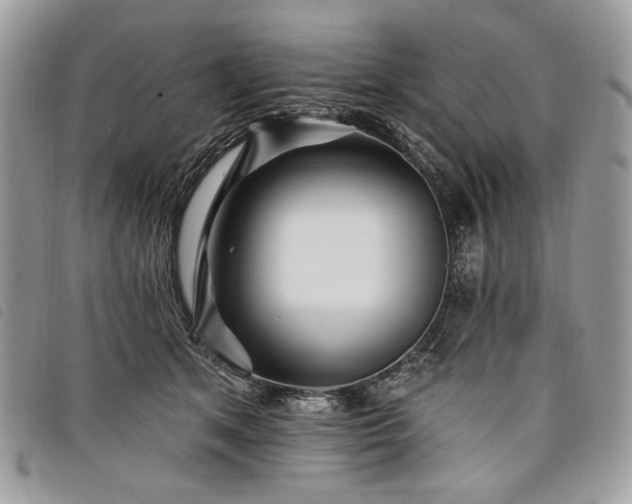 X0000098030513200804071419