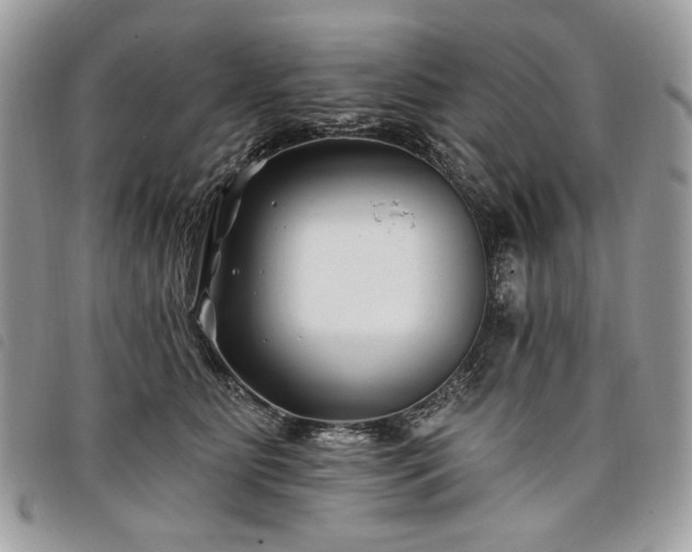 X0000098030515200804071419