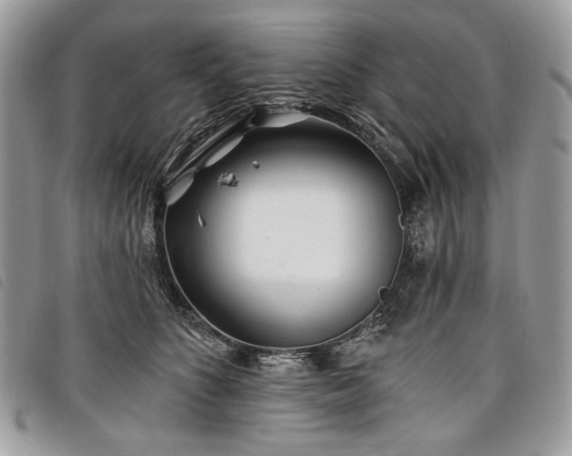 X0000098030516200804071419