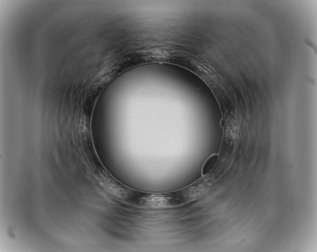 X0000098030518200804071419