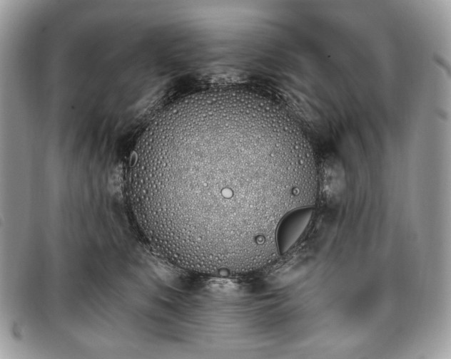 X0000098030519200804071419