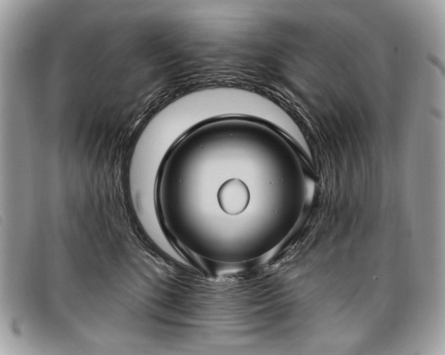 X0000098030520200804071419