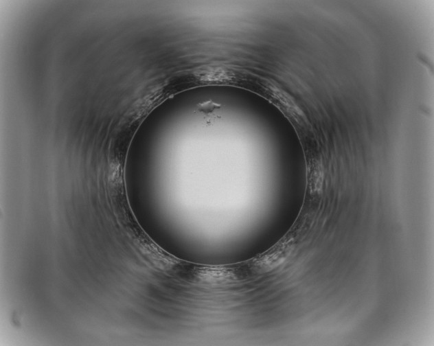 X0000098030521200804071419