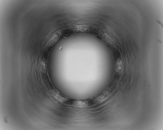 X0000098030522200804071419