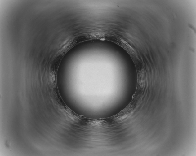 X0000098030523200804071419