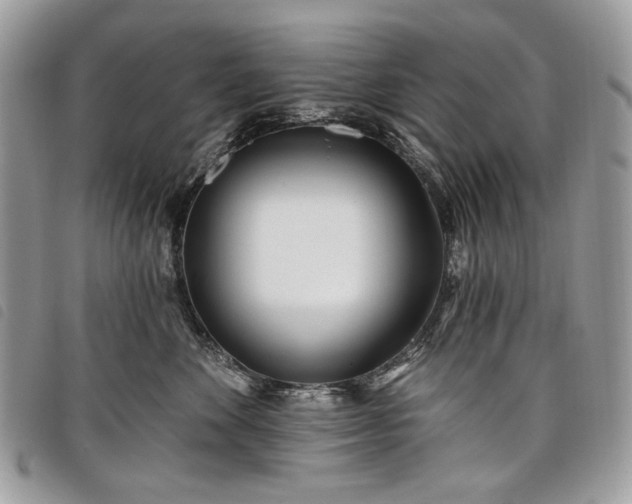 X0000098030524200804071419