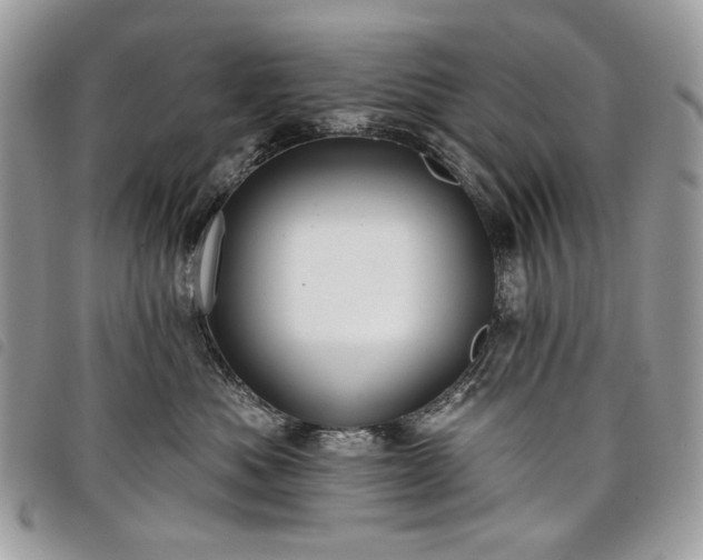 X0000098030525200804071419