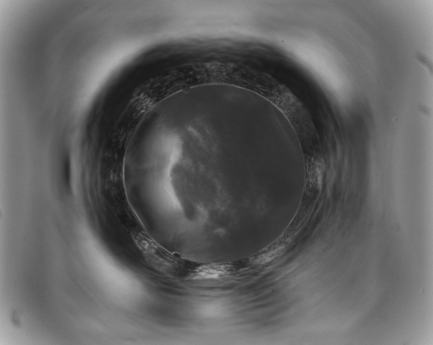 X0000098030526200804071419