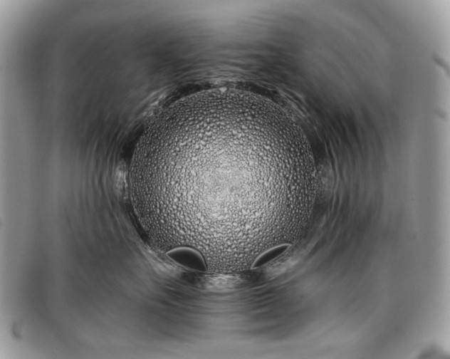 X0000098030527200804071419