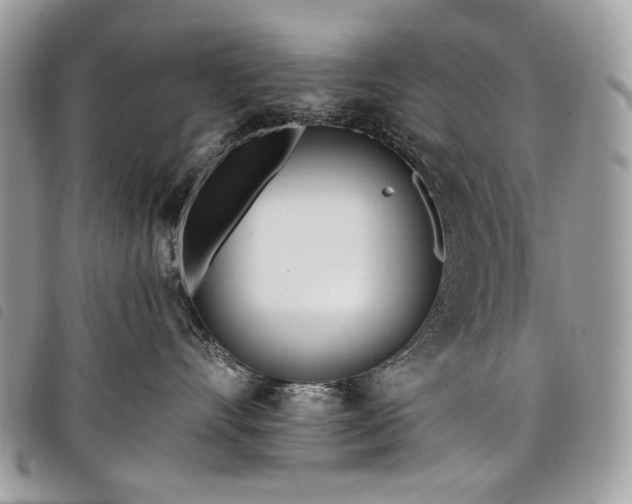 X0000098030528200804071419