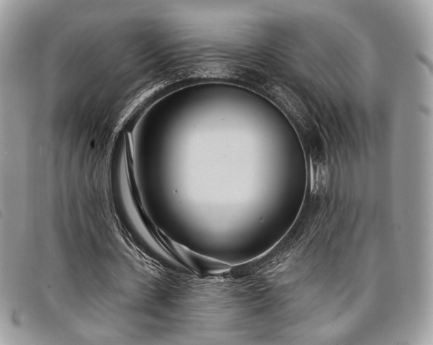 X0000098030531200804071418