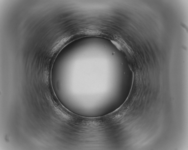 X0000098030533200804071418