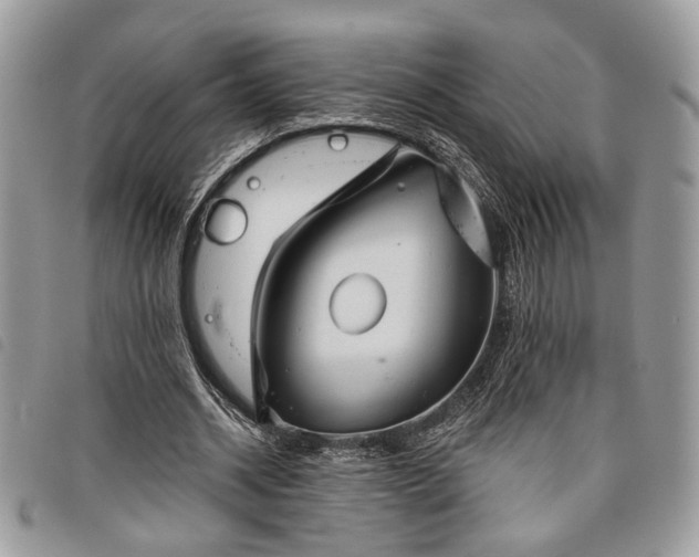 X0000098030534200804071419