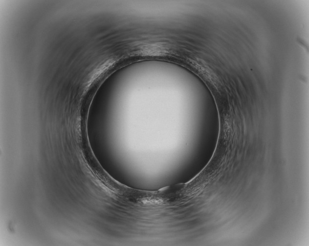 X0000098030535200804071419