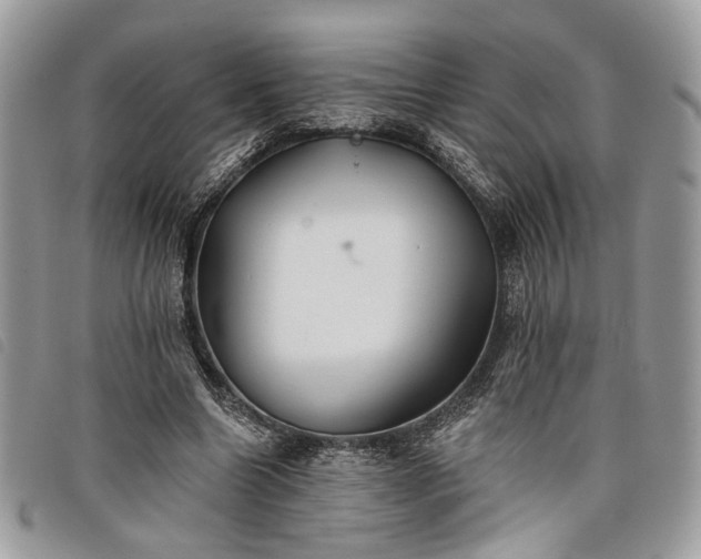 X0000098030538200804071419