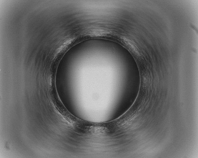 X0000098030539200804071419