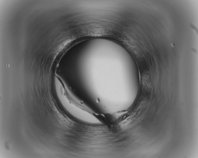 X0000098030540200804071419