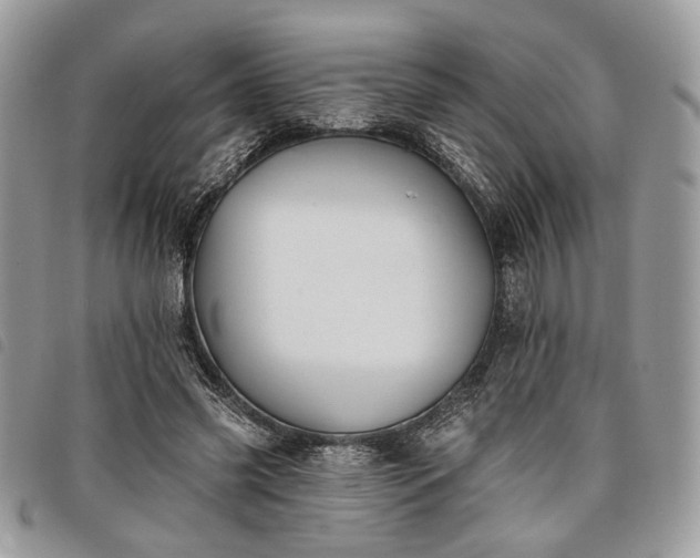 X0000098030541200804071419