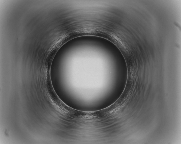 X0000098030542200804071419