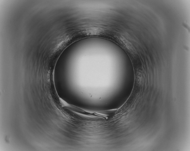 X0000098030543200804071419