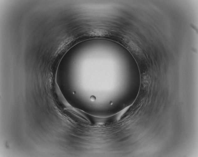 X0000098030544200804071419