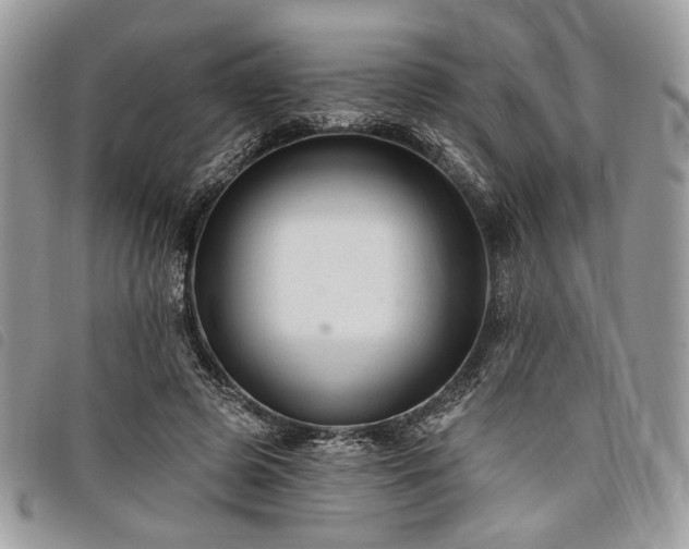 X0000098030545200804071419