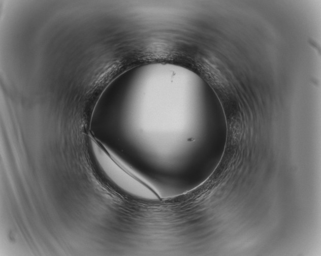 X0000098030546200804071419