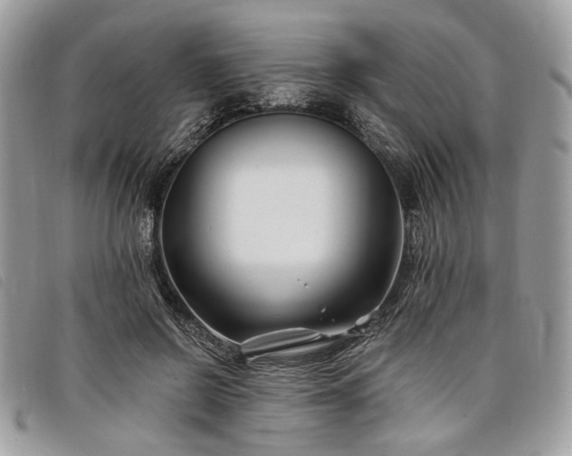 X0000098030550200804071419