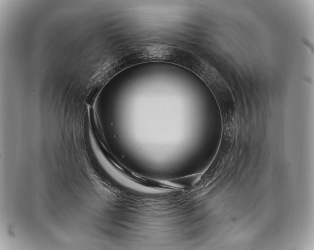 X0000098030552200804071419