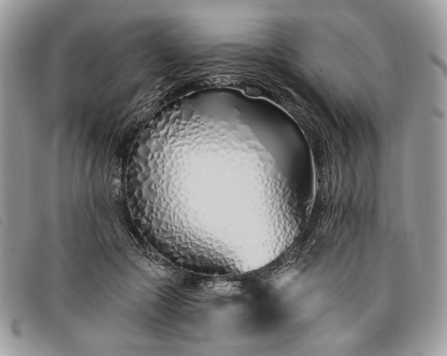 X0000098030553200804071419